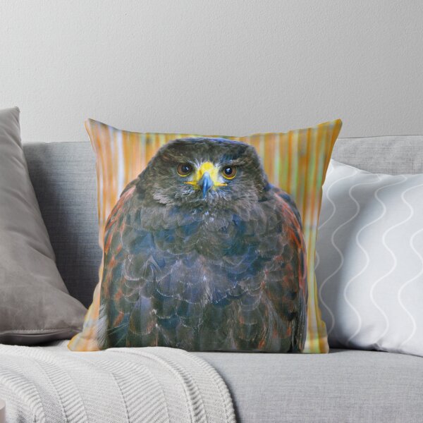 Item preview, Harris Hawk Bird Of Prey designed and sold by AndyEvansPhotos.