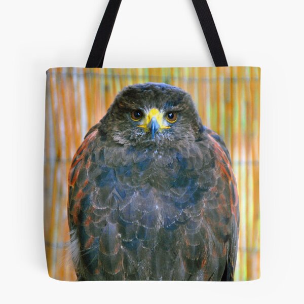 Item preview, Harris Hawk Bird Of Prey designed and sold by AndyEvansPhotos.