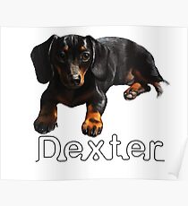 Dexter Boy Poster