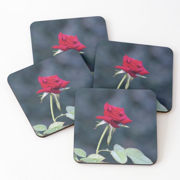 Item preview, Red rose with petals designed and sold by sinseeho.