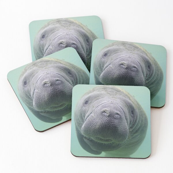 Item preview, Manatee designed and sold by Heidi Ingram.