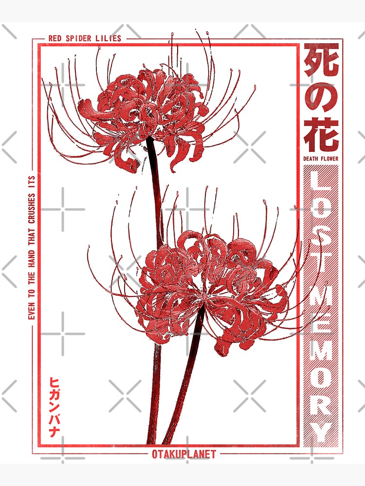 Japanese Spider Lily Soft Grunge Anime Aesthetic Flower, an art print by L  VT - INPRNT