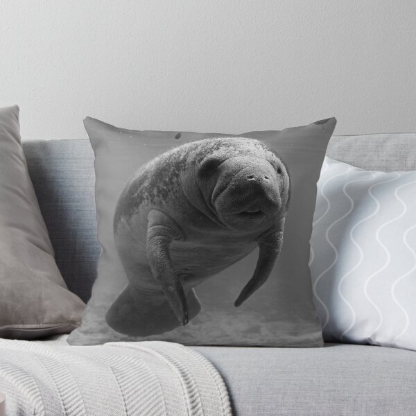 Item preview, Manatee B/W designed and sold by Heidi Ingram.