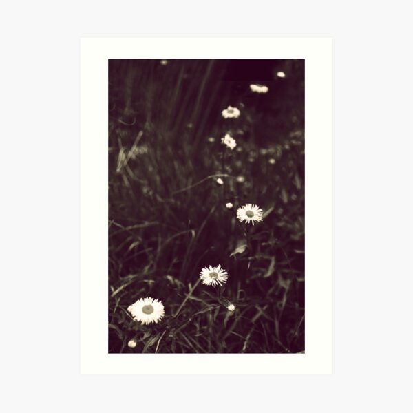 Starpath Art Print