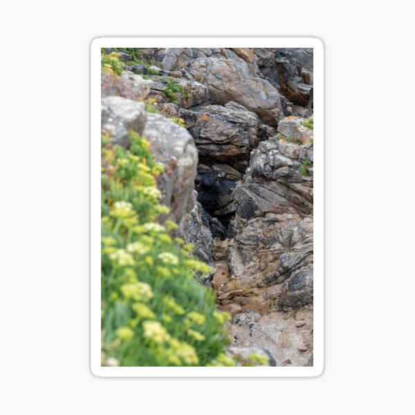 Aperçu de l'œuvre Falaise près de Quiberon, France/France créée et vendue par OskiOnTour.
