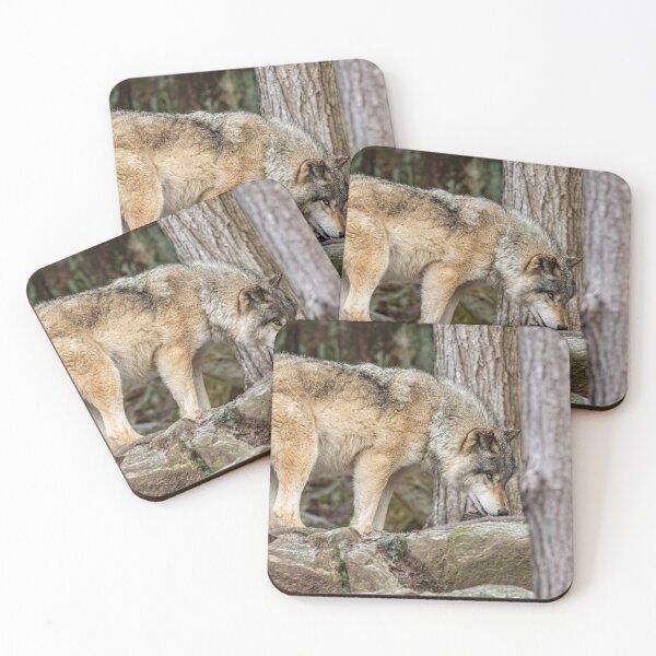 Item preview, Eastern Gray Wolf designed and sold by Michael Cummings.