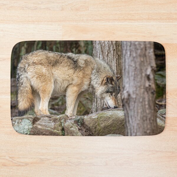 Item preview, Eastern Gray Wolf designed and sold by Michael Cummings.