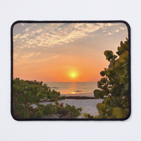 Item preview, Sea Oat Florida Sunset  designed and sold by LeslieMac713.