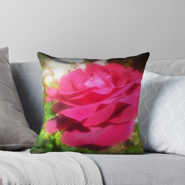 Item preview, Peter Frankenfeld Rose - Spring 2016 Vic. Australia. designed and sold by EdsMum.