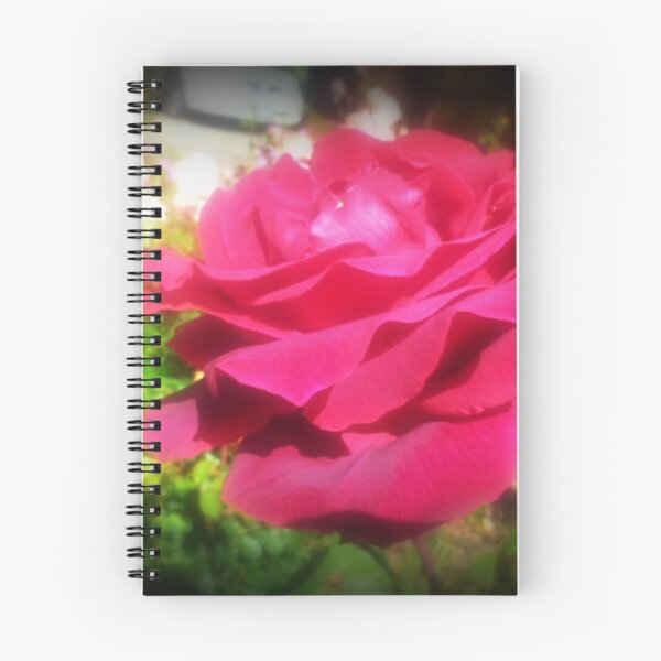 Item preview, Peter Frankenfeld Rose - Spring 2016 Vic. Australia. designed and sold by EdsMum.