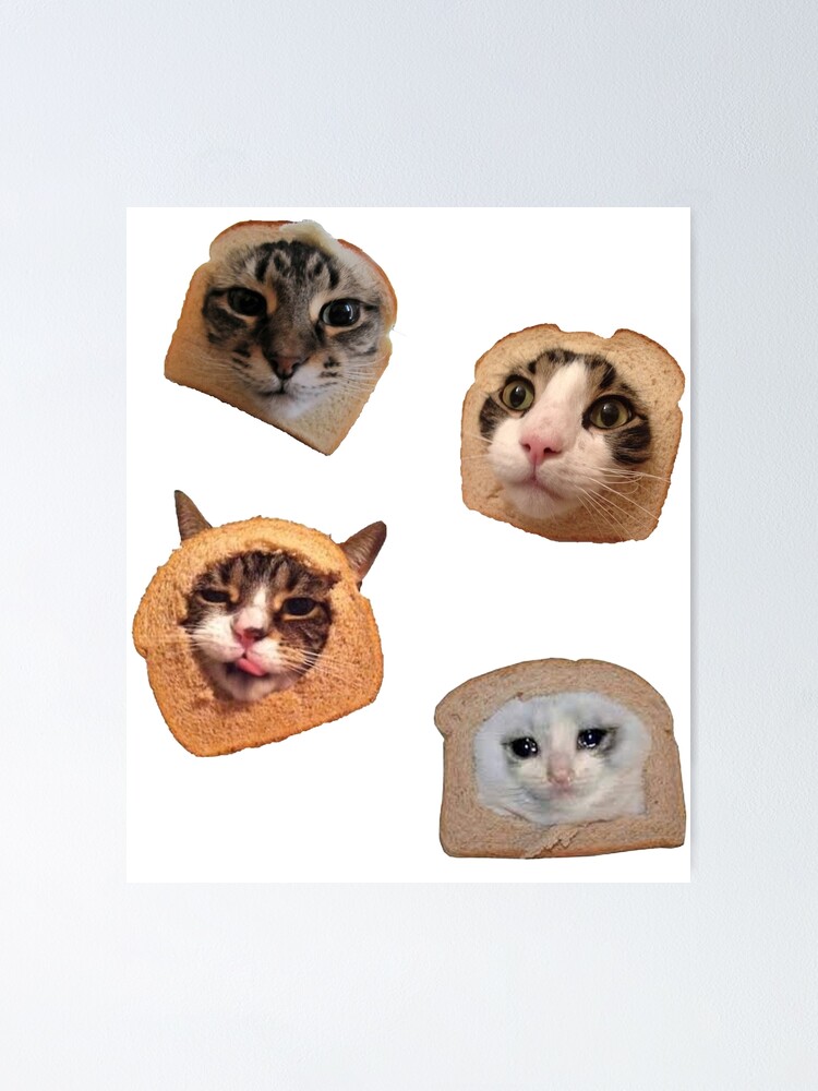 "Cat Toasts Pack Cursed Meme" Poster for Sale by BetterLeo Redbubble