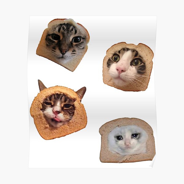 "Cat Toasts Pack Cursed Meme" Poster for Sale by BetterLeo Redbubble