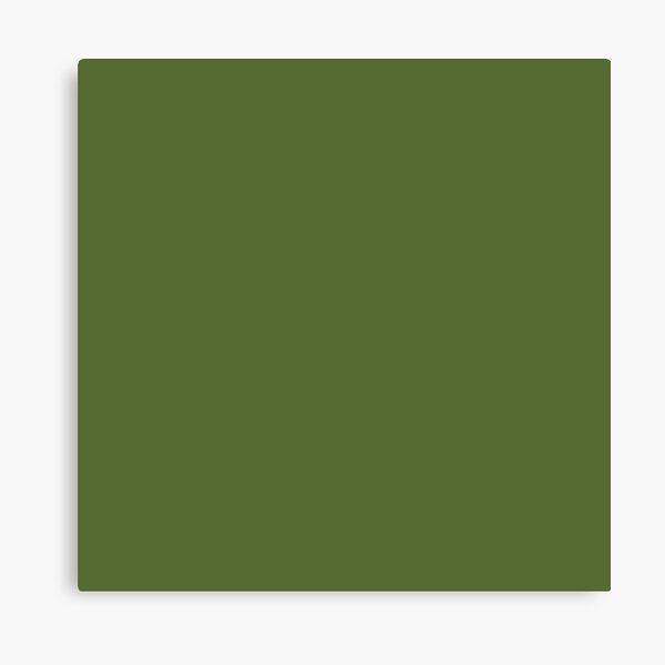 Plain Dark Olive Green Solid Color Stock Illustration 1812538306