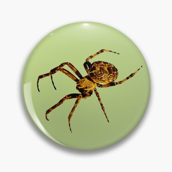 Item preview, Incy Wincy Halloween Spider designed and sold by Dalyndigital Photography.