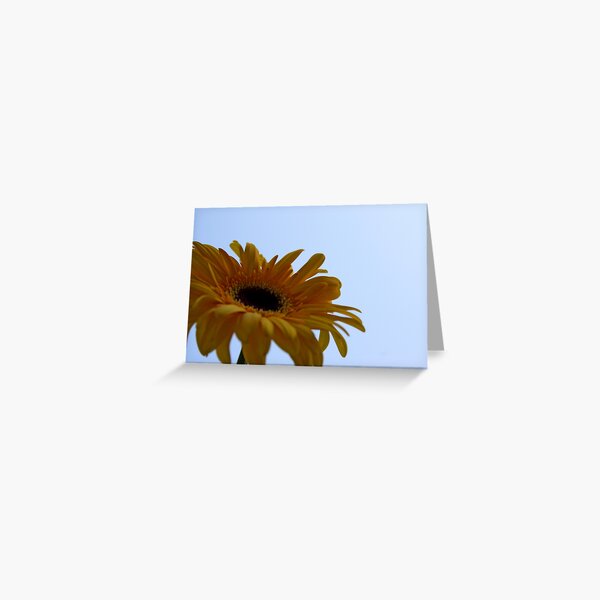 Daisy Skies Greeting Card
