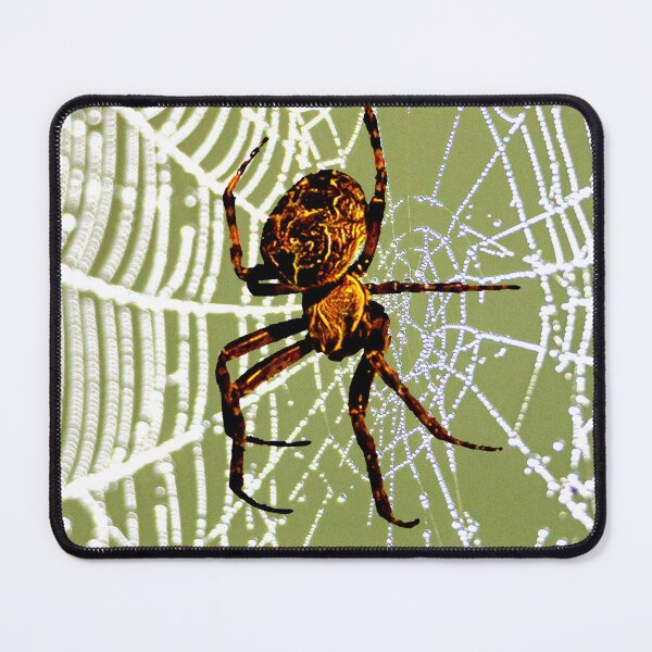 Item preview, Spider on dew covered web designed and sold by Dalyndigital Photography.