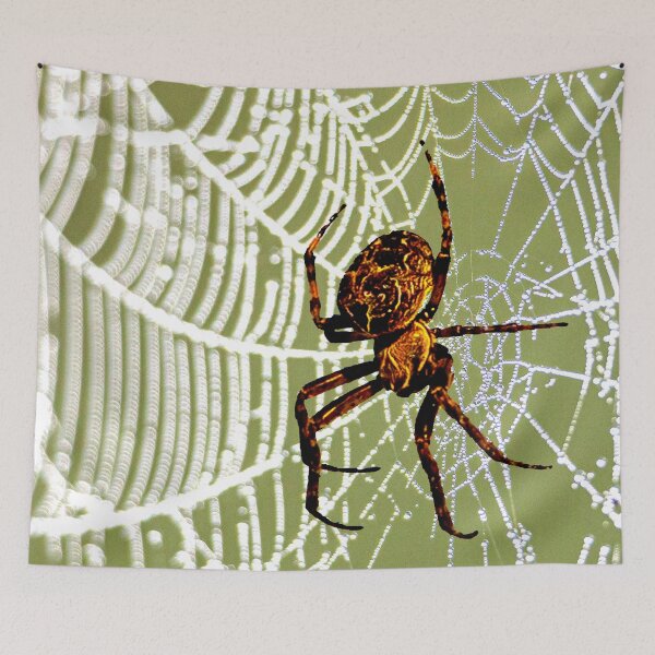 Item preview, Spider on dew covered web designed and sold by Dalyndigital Photography.