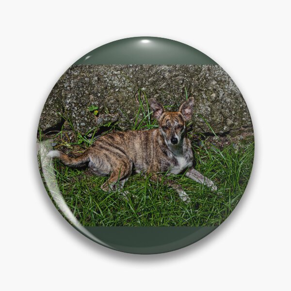 Item preview, Our Tiny Mama Grigi III designed and sold by alabca.