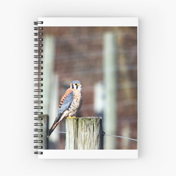 Item preview, Sparrowhawk... designed and sold by RichImage.