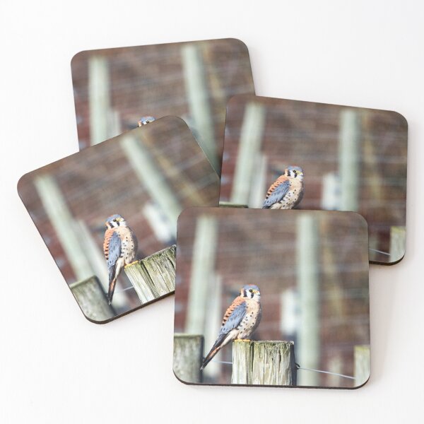 Item preview, Sparrowhawk... designed and sold by RichImage.