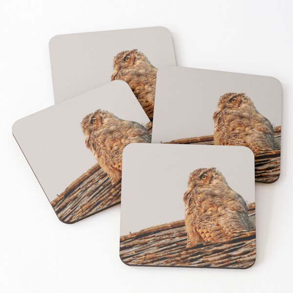 Item preview, Horned Owl at Sunset designed and sold by Alyce Taylor.