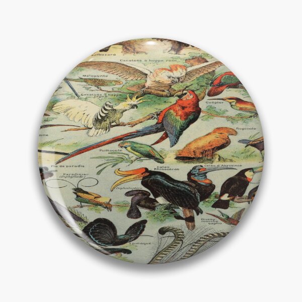 Item preview, Adolphe Millot oiseaux A designed and sold by beoverpowered.