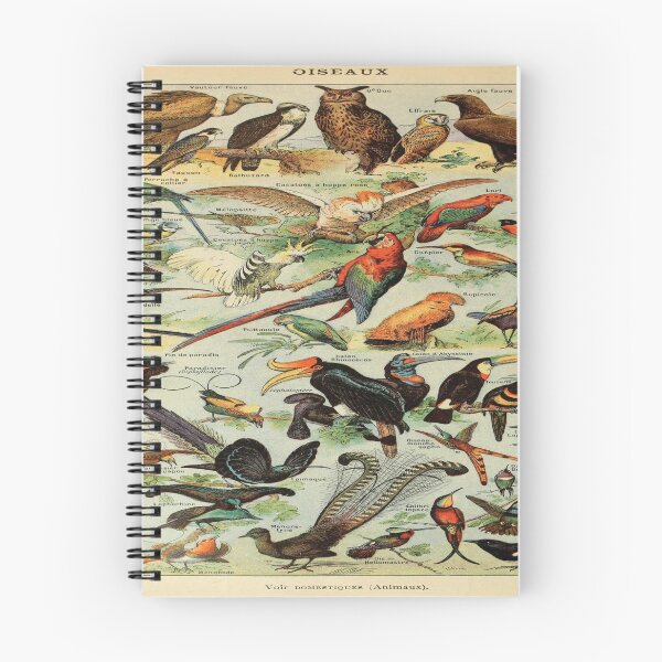 Item preview, Adolphe Millot oiseaux A designed and sold by beoverpowered.