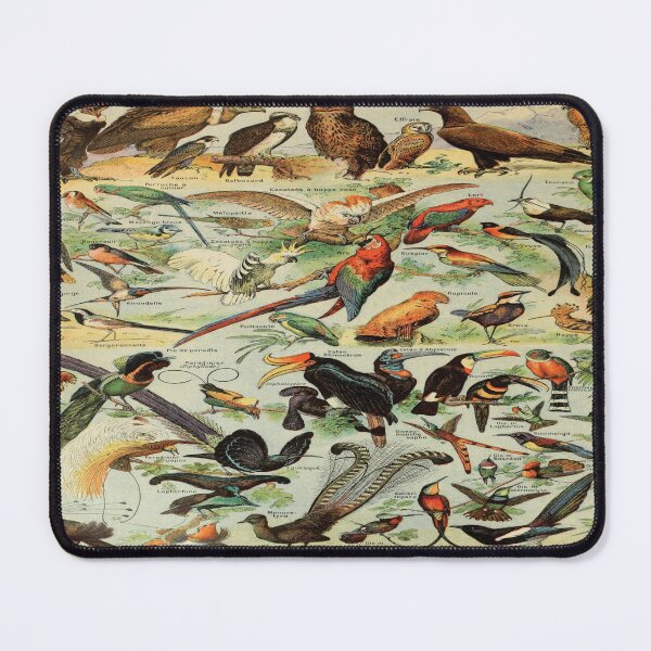 Item preview, Adolphe Millot oiseaux A designed and sold by beoverpowered.