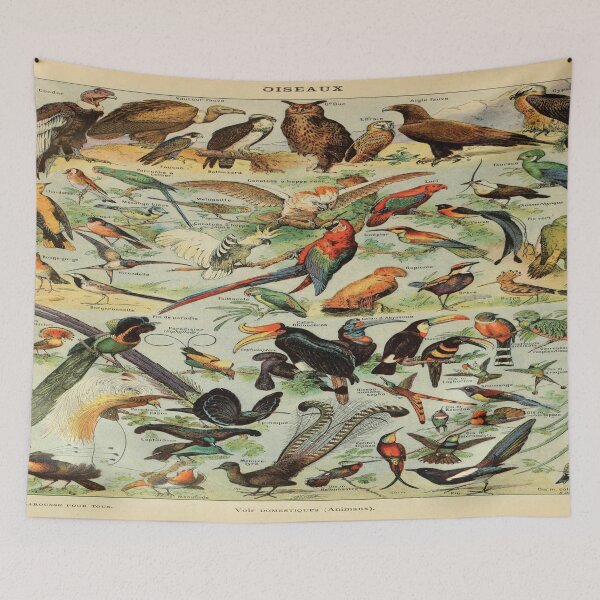 Item preview, Adolphe Millot oiseaux A designed and sold by beoverpowered.