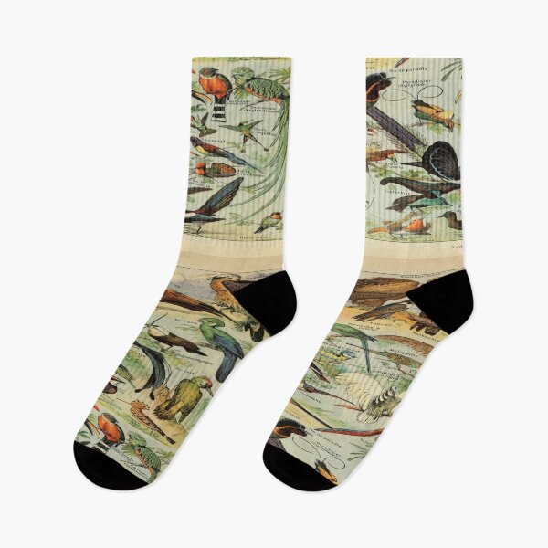 Item preview, Adolphe Millot oiseaux A designed and sold by beoverpowered.