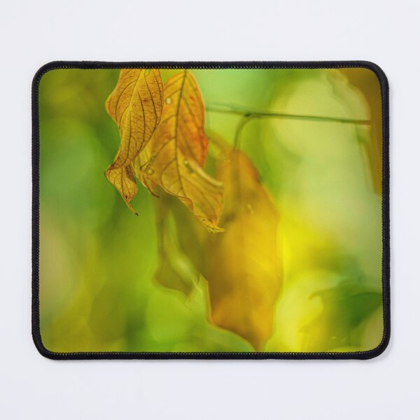 Item preview, Autumn leaves 2 designed and sold by Veikko  Suikkanen.