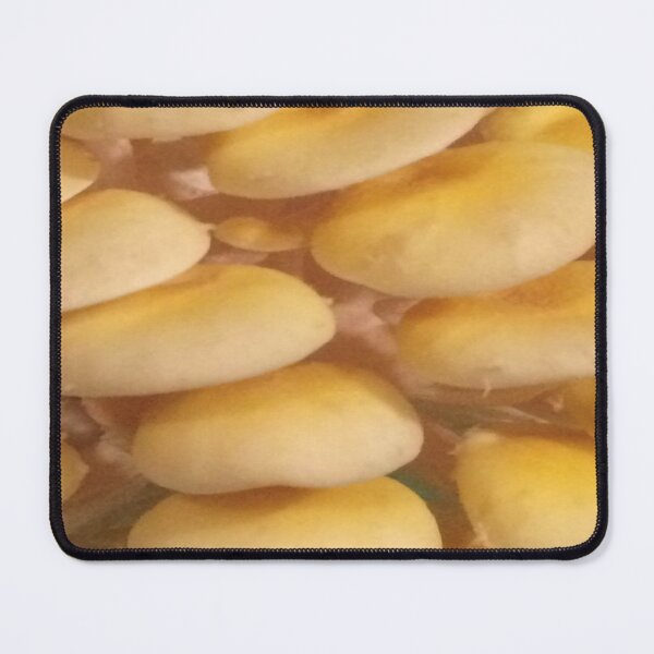 Item preview, Golden Oyster Mushrooms designed and sold by CJRPics.