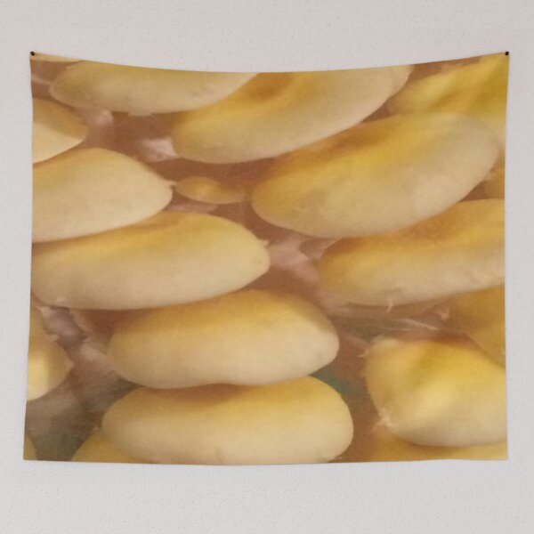 Item preview, Golden Oyster Mushrooms designed and sold by CJRPics.