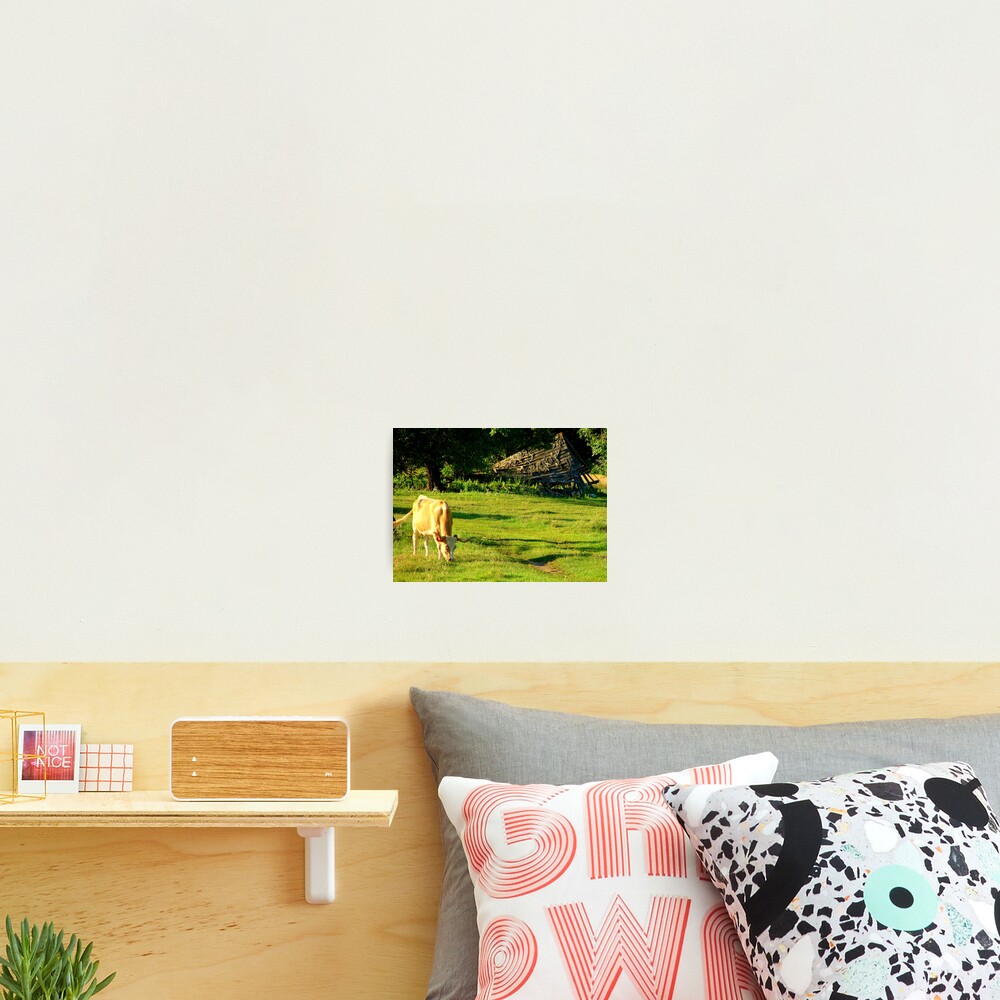 Philosopher's Garden Photographic Print