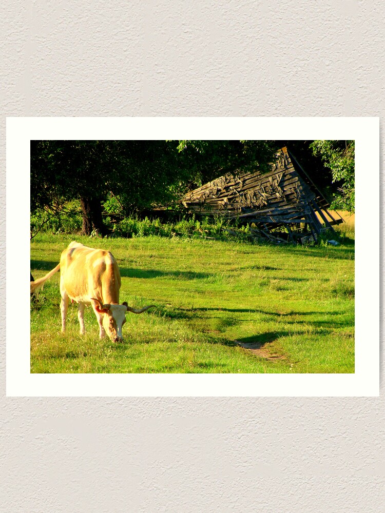 Alternate view of Philosopher's Garden Art Print