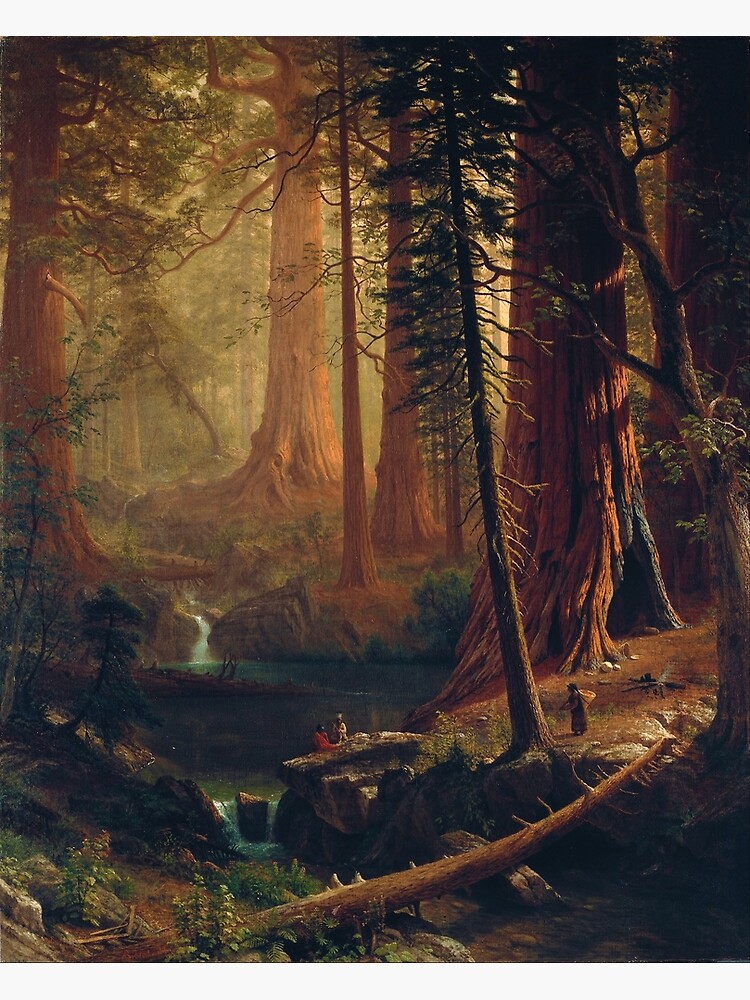 "Giant Redwood Trees of California by Albert Bierstadt (1874)" Poster