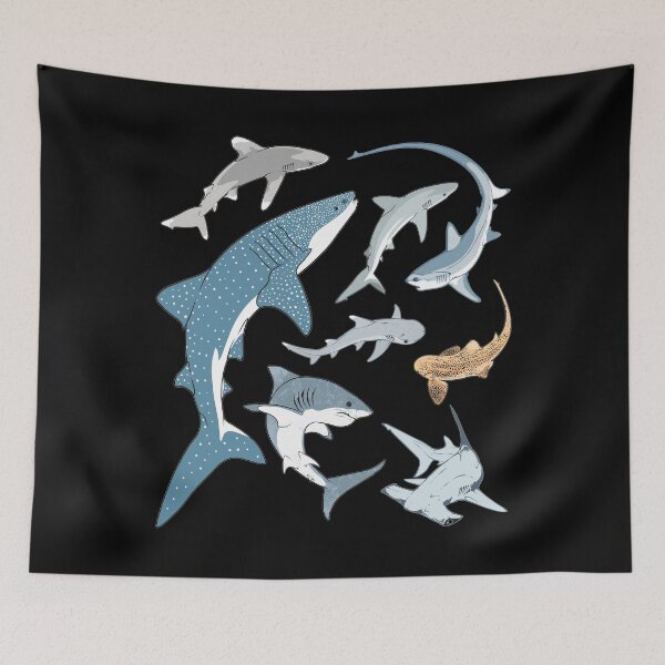 Item preview, Types of Sharks Shark species designed and sold by NicGrayGraphic.