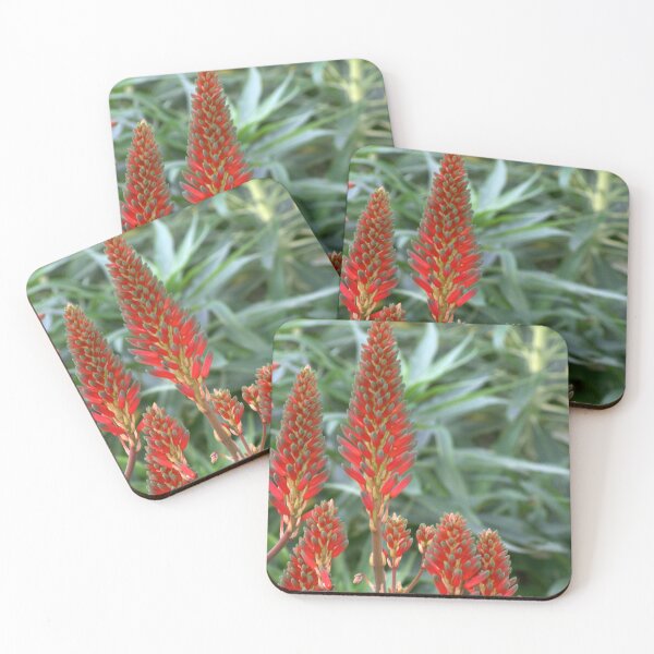 Item preview, Firecrackers designed and sold by okomedesign.