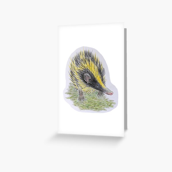 Lowland Streaked Tenrec Greeting Card