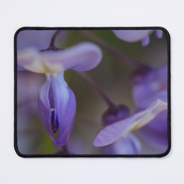 Item preview, Hanging Wisteria designed and sold by TinyCameraNinja.