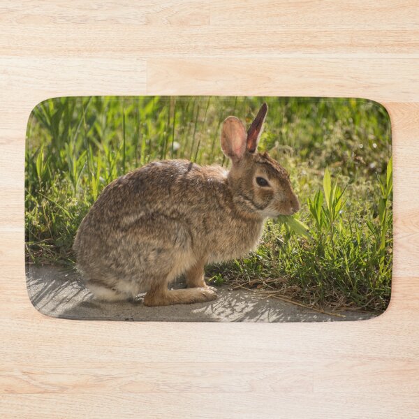Item preview, Sleepy Bunny Having a Snack designed and sold by TinyCameraNinja.