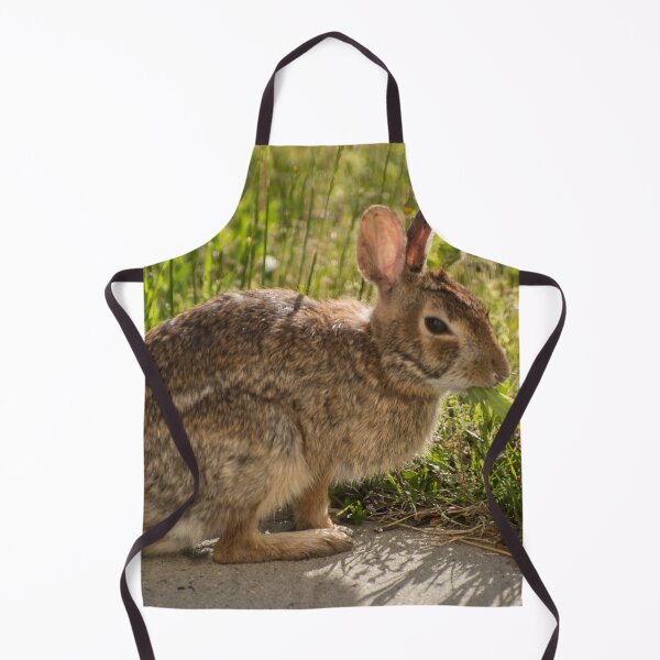 Item preview, Sleepy Bunny Having a Snack designed and sold by TinyCameraNinja.