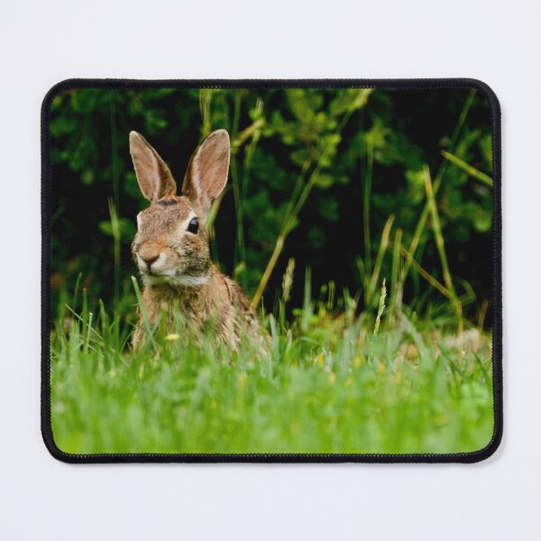 Item preview, Bunny Headshot designed and sold by TinyCameraNinja.
