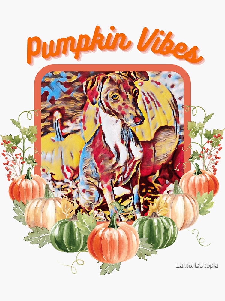 Greyhound pumpkin best sale