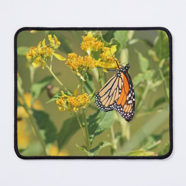 Item preview, Hanging Butterfly designed and sold by Linda Sannuti.