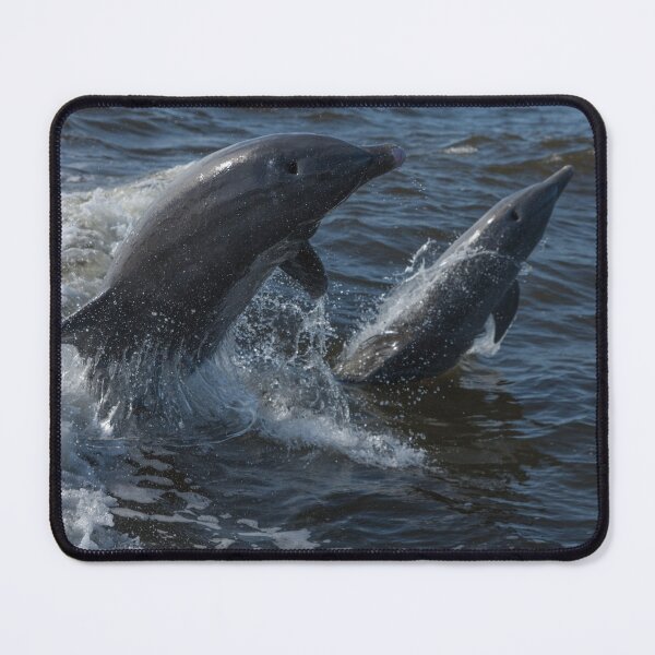 Item preview, Synchronized swimming designed and sold by TinyCameraNinja.