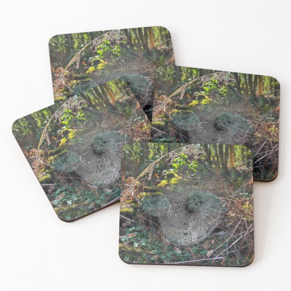 Item preview, Spider web in the forest designed and sold by Pixipax.