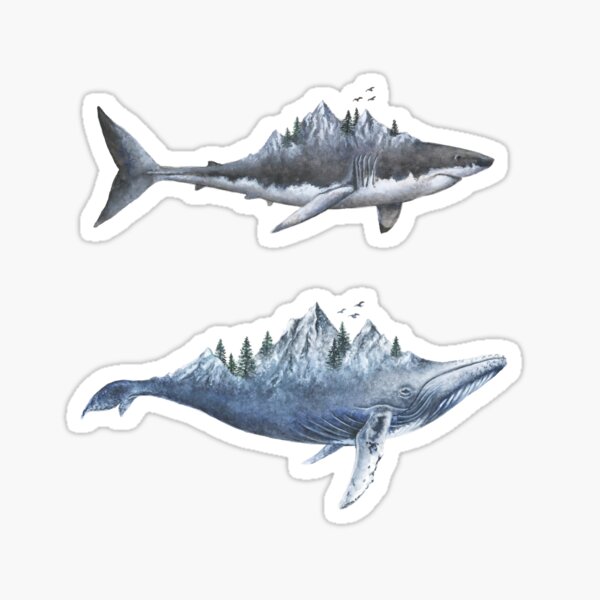 Shark and Whale Sticker