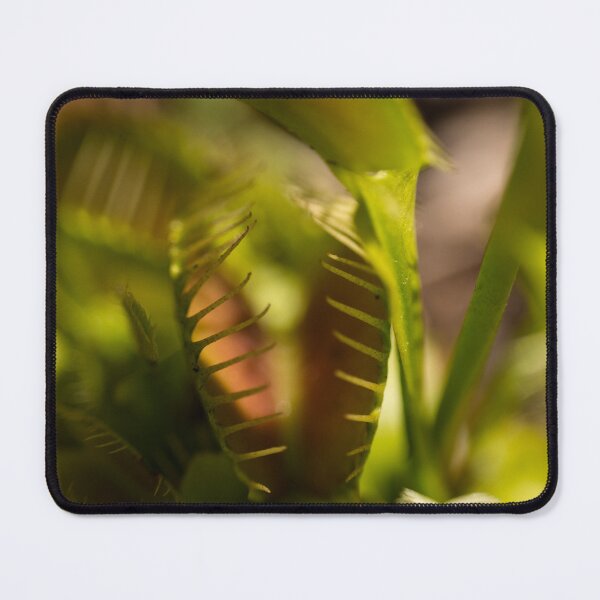 Item preview, Venus Flytrap designed and sold by TinyCameraNinja.