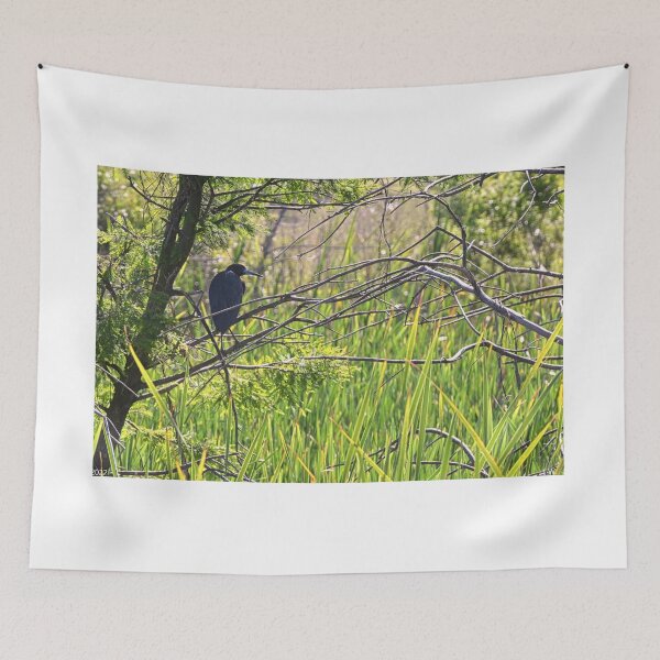 Item preview, A Perched Little blue Heron designed and sold by LisaWootenPhoto.